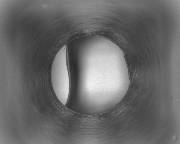 X0000062851012200601130915