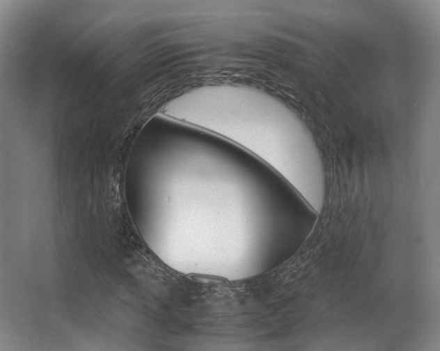 X0000062851013200601130915