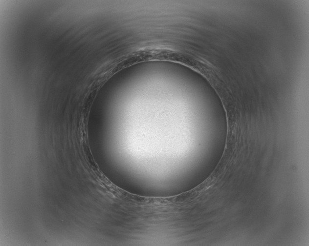 X0000062851014200601130915