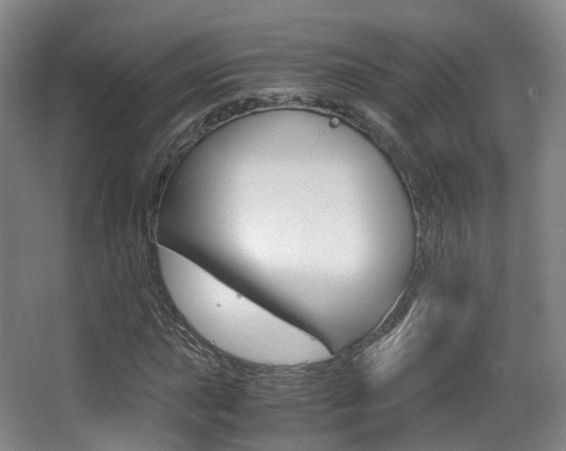 X0000062851015200601130915