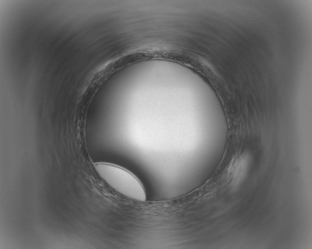 X0000062851016200601130915