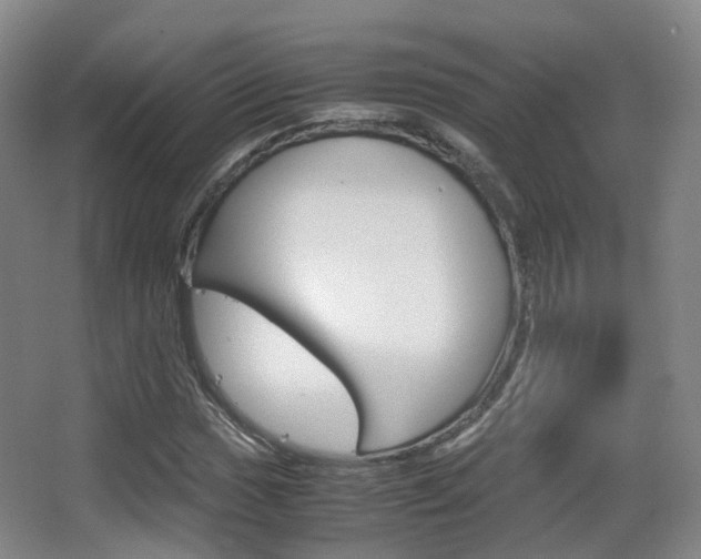 X0000062851017200601130915