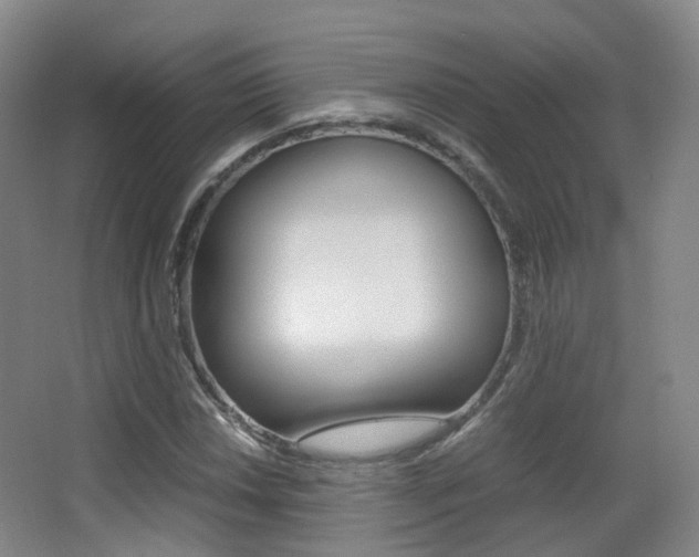 X0000062851018200601130915