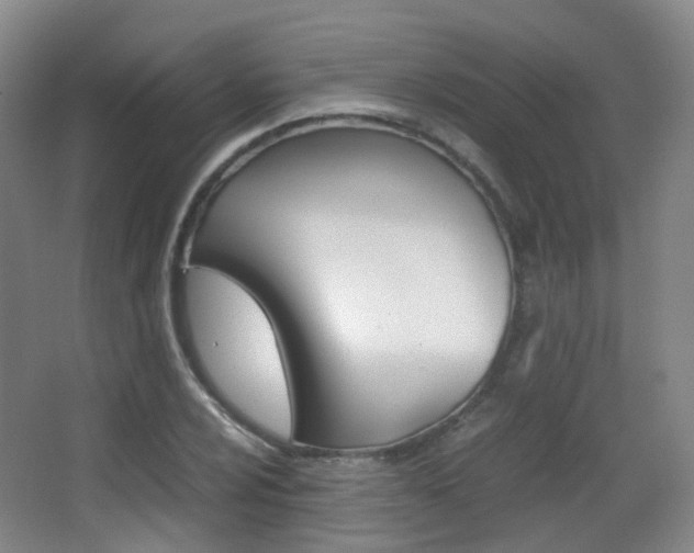 X0000062851024200601130915