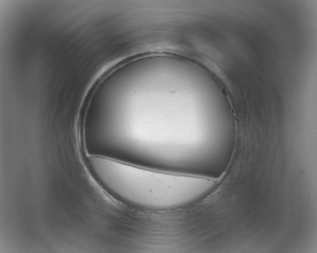 X0000062851032200601130915