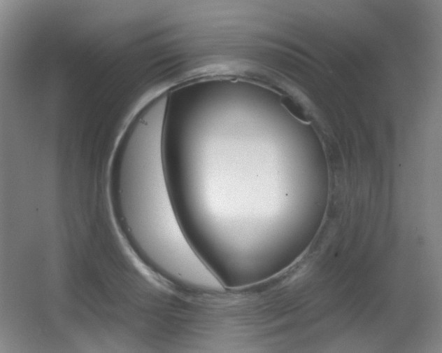 X0000062851034200601130915