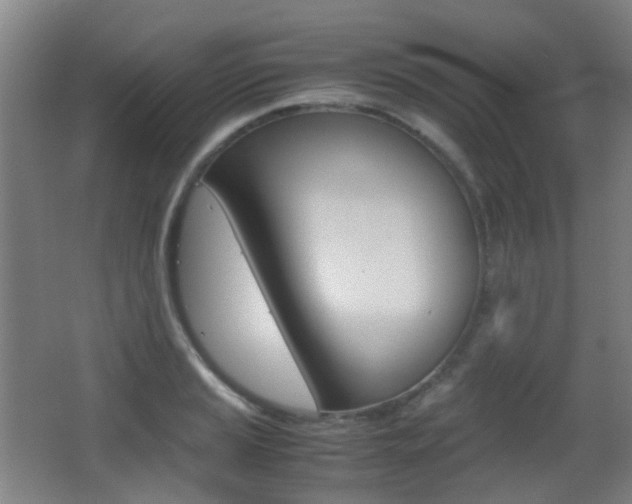 X0000062851037200601130915