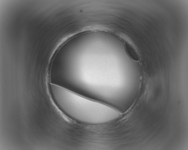 X0000062851040200601130915