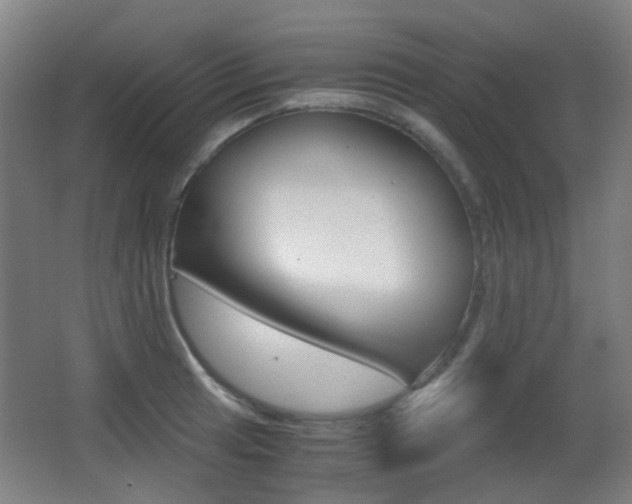 X0000062851041200601130915