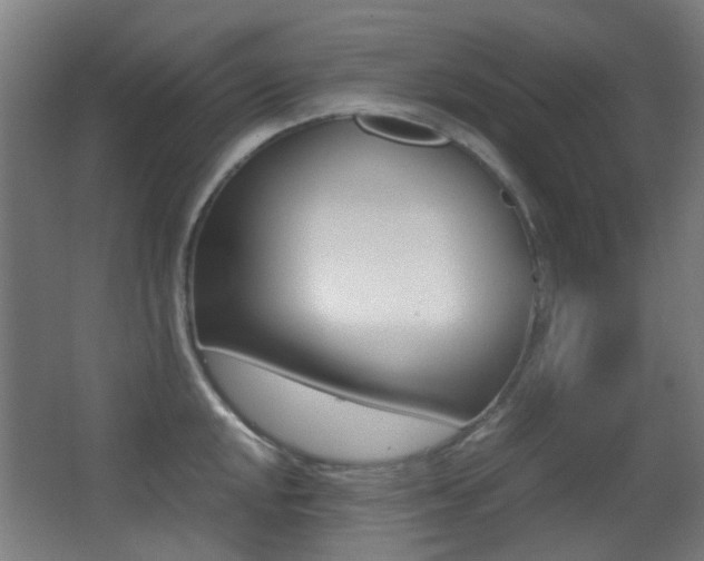 X0000062851048200601130915