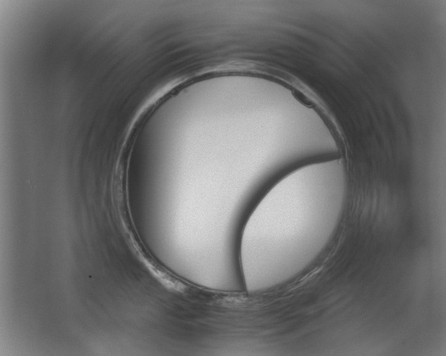 X0000062851053200601130916