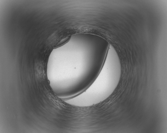 X0000062851058200601130915