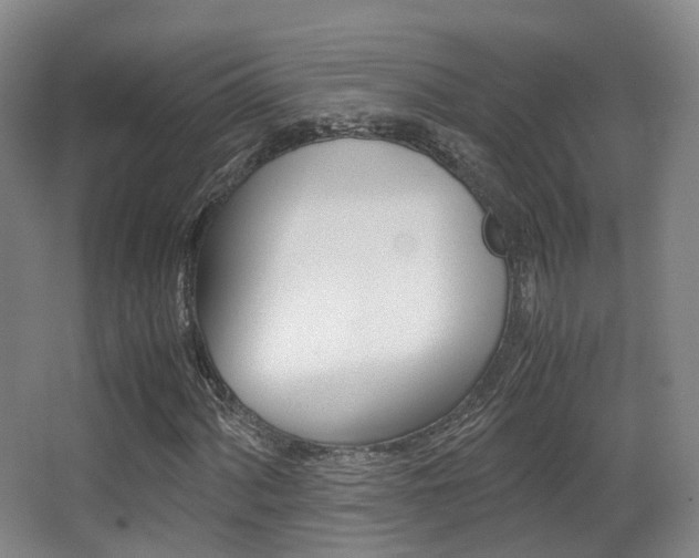 X0000062851060200601130915