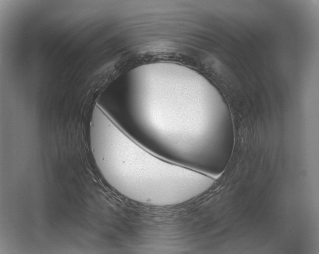 X0000062851062200601130915