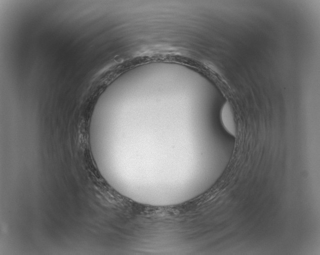 X0000062851063200601130915