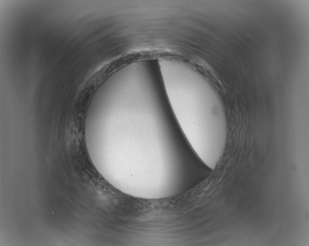 X0000062851064200601130915