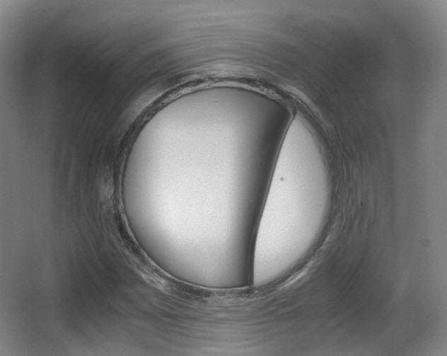 X0000062851065200601130915
