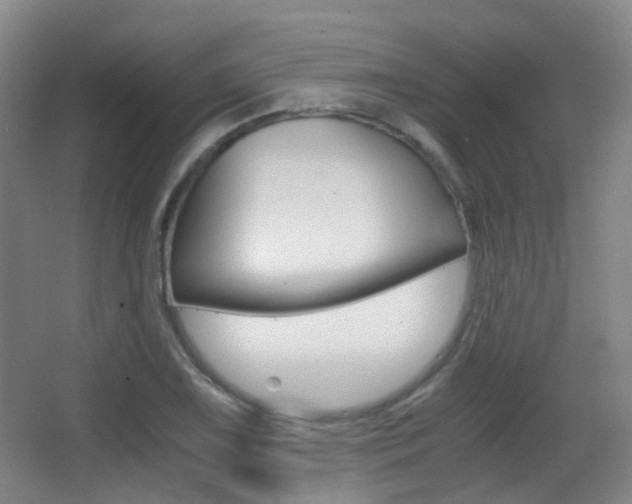 X0000062851075200601130914