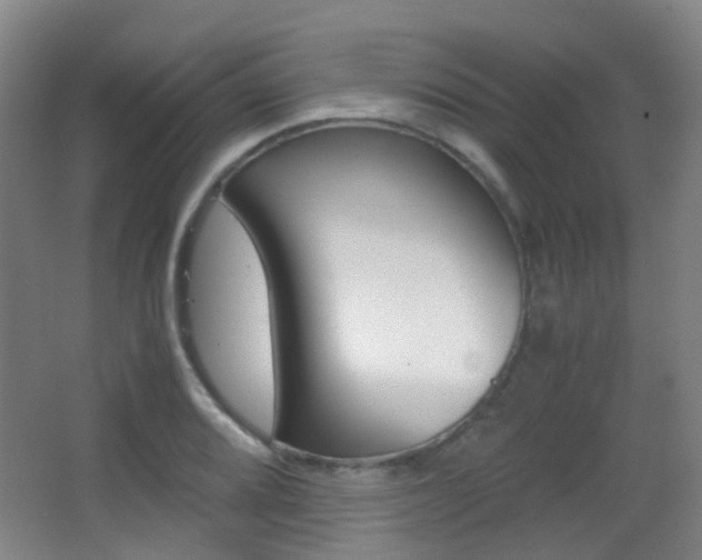 X0000062851080200601130914
