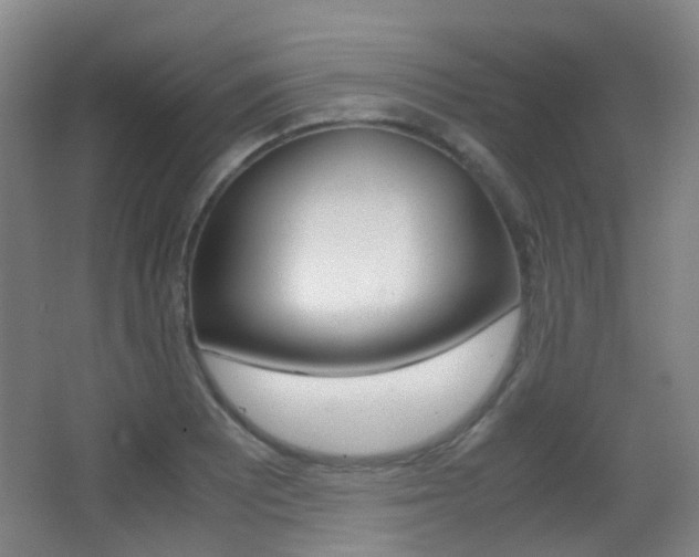 X0000062851081200601130914