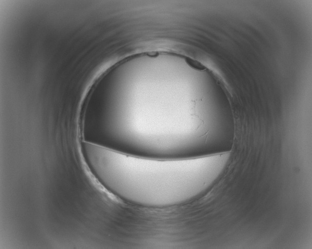 X0000062851088200601130914