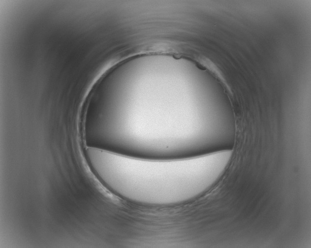 X0000062851091200601130914