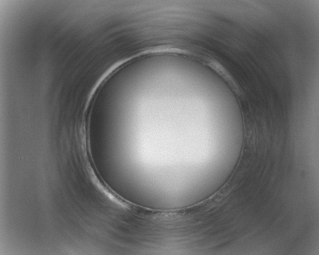 X0000062851092200601130914