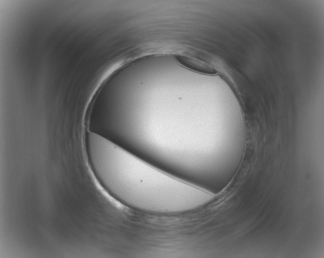 X0000062851095200601130914