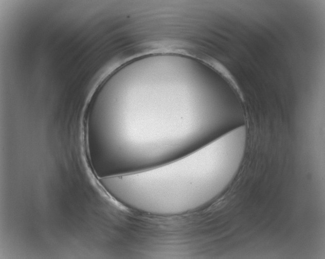X0000062851096200601130914