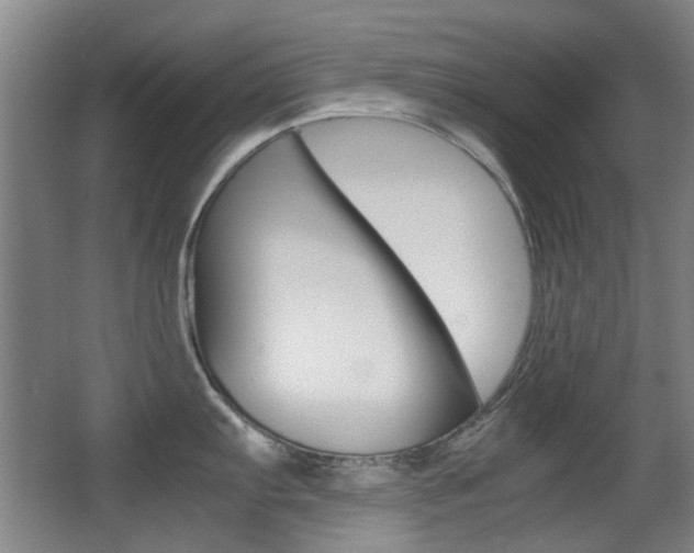 X0000062851103200601130914