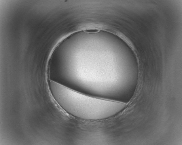 X0000062851104200601130914