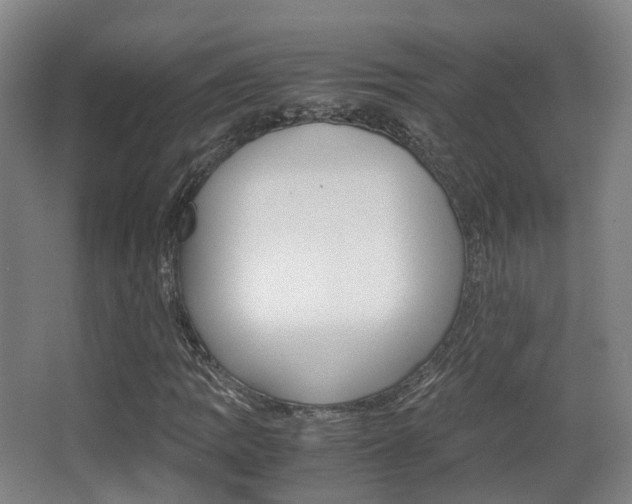 X0000062851109200601130913