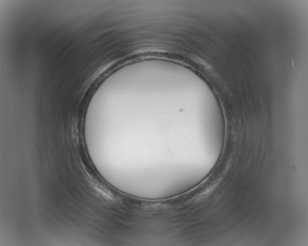 X0000062851113200601130913