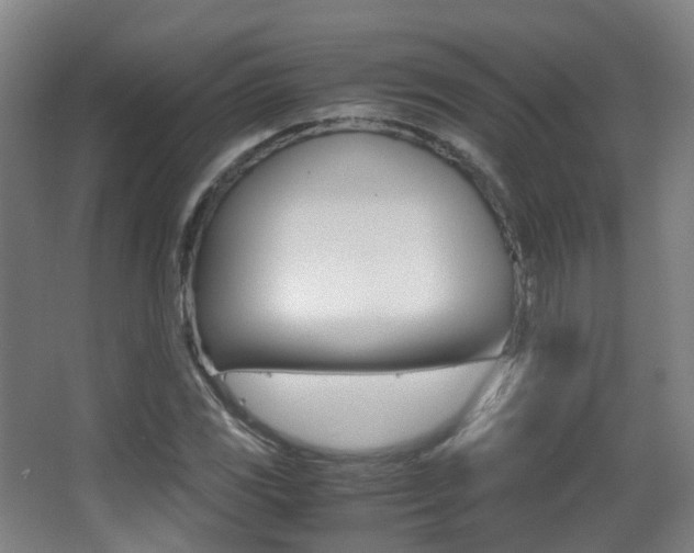 X0000062851117200601130913