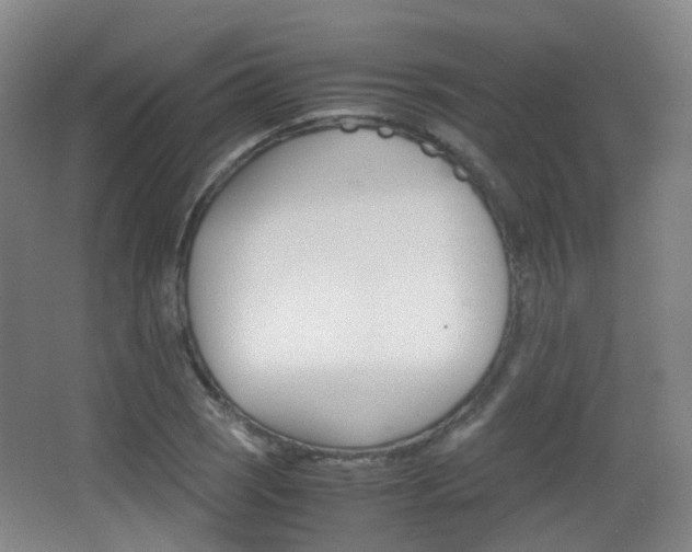 X0000062851121200601130913