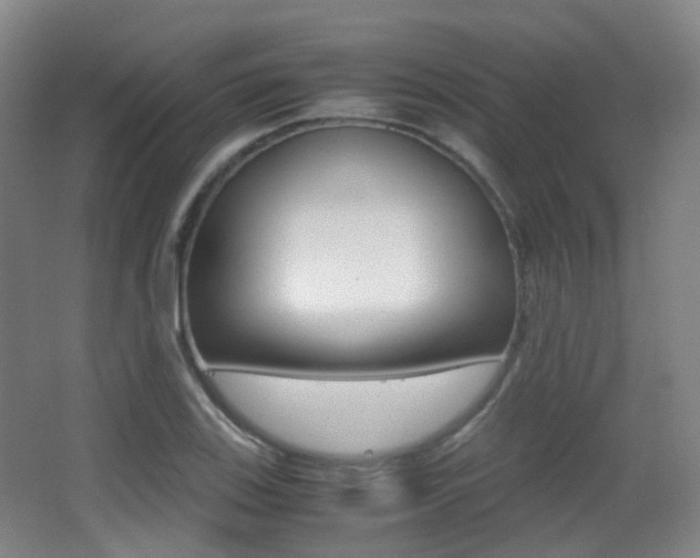 X0000062851123200601130913