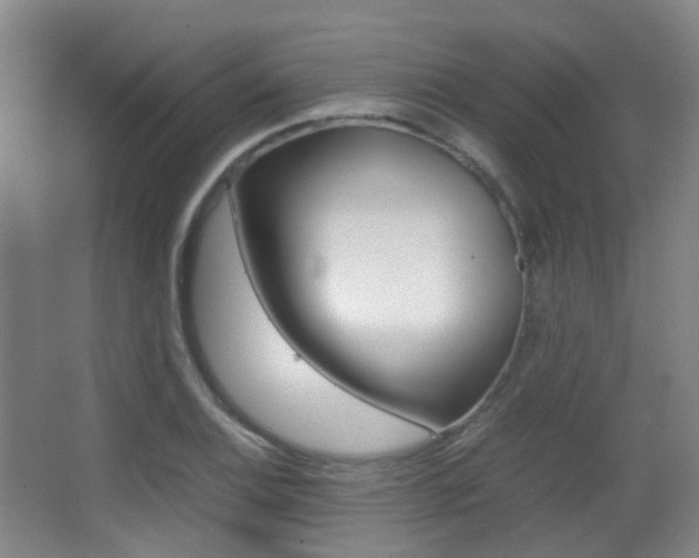 X0000062851124200601130913
