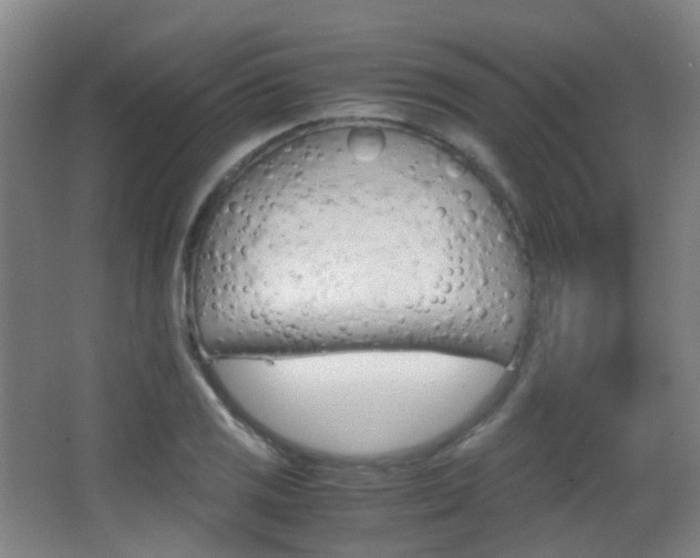 X0000062851125200601130914
