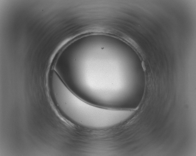 X0000062851128200601130914