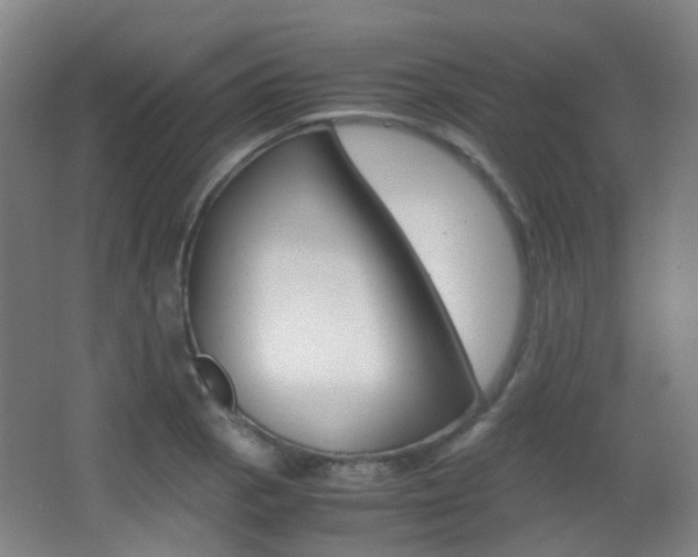 X0000062851129200601130914