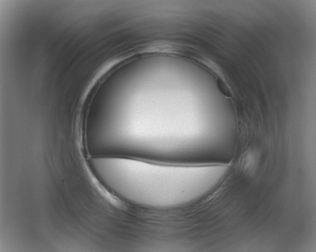 X0000062851131200601130914