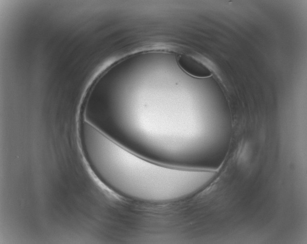 X0000062851135200601130914