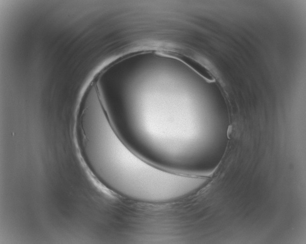 X0000062851136200601130914