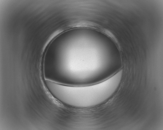 X0000062851138200601130914