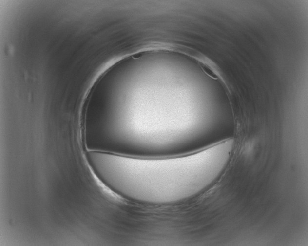 X0000062851143200601130914