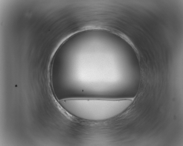 X0000062851148200601130914