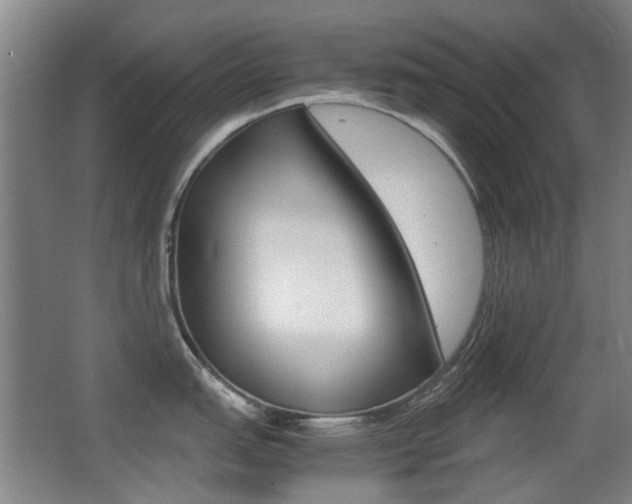 X0000062851151200601130914