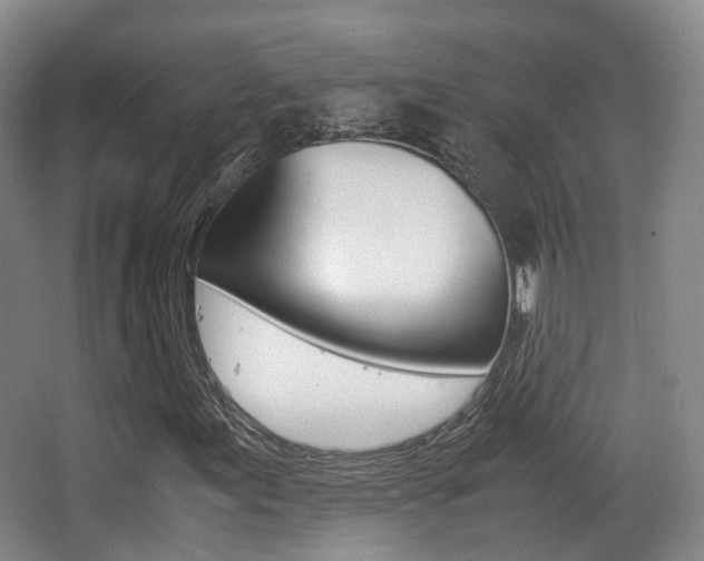 X0000062851155200601130913