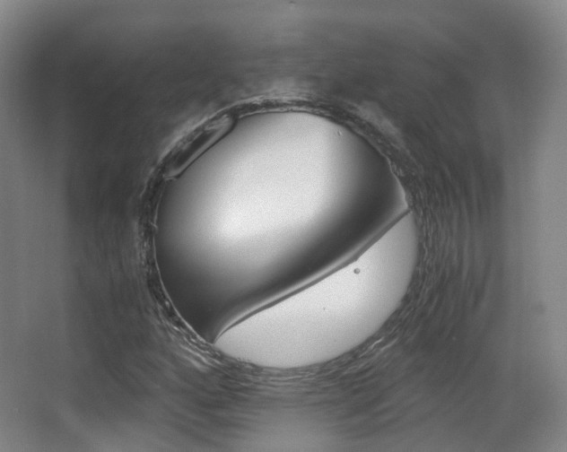 X0000062851160200601130913