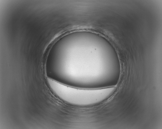 X0000062851165200601130913